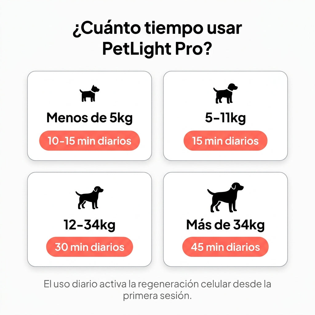 PetLight One